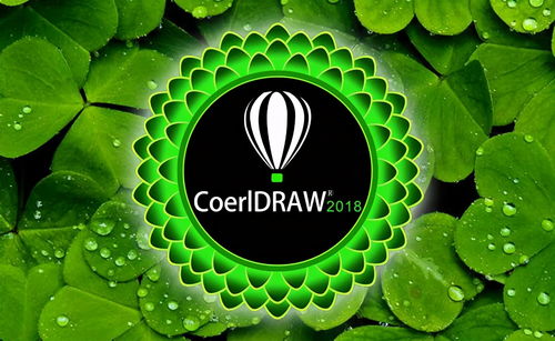 平面設計 從軟件工具到核心技能的全方位解析