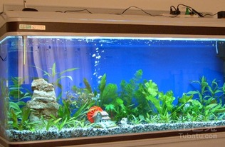 魚(yú)缸玻璃膠如何清理 如何選擇
